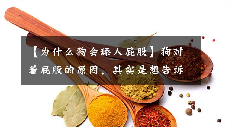 【为什么狗会舔人屁股】狗对着屁股的原因，其实是想告诉你这几句话。文章配图