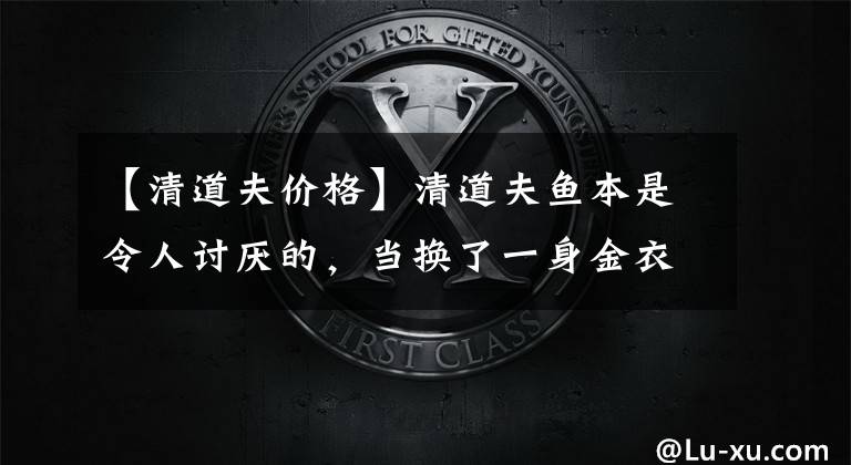 【清道夫价格】清道夫鱼本是令人讨厌的，当换了一身金衣，变成受宠的万元黄金鱼