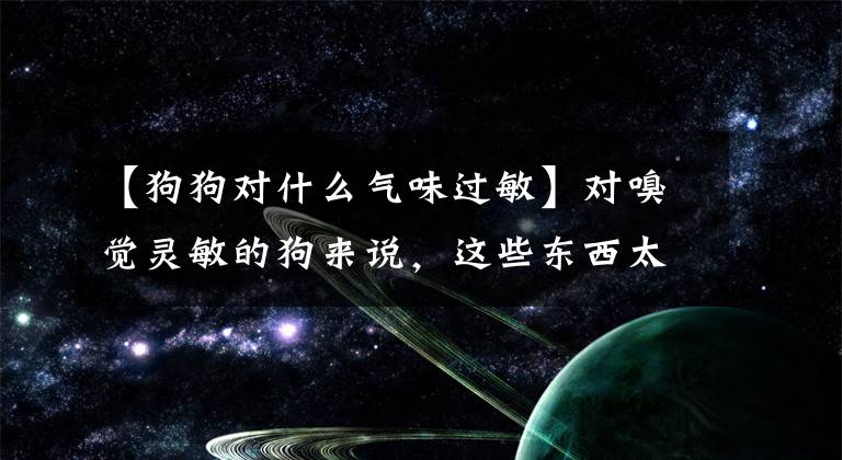 【狗狗对什么气味过敏】对嗅觉灵敏的狗来说，这些东西太刺激了，有害