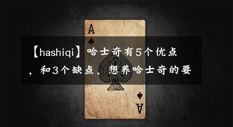 【hashiqi】哈士奇有5个优点，和3个缺点，想养哈士奇的要了解