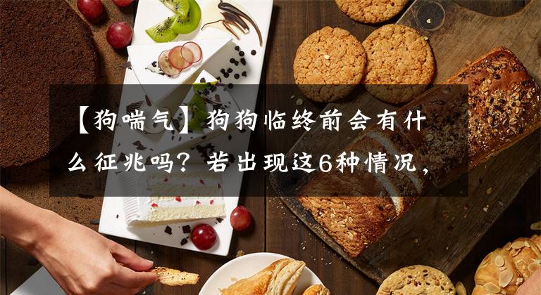 【狗喘气】狗狗临终前会有什么征兆吗？若出现这6种情况，不妨好好陪它吧文章配图