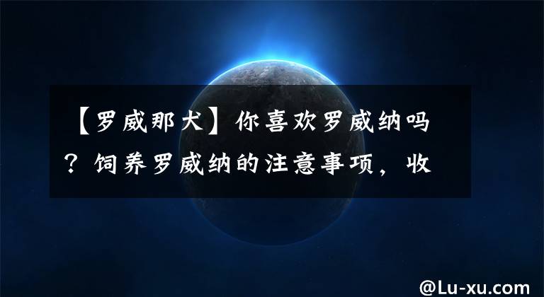 【罗威那犬】你喜欢罗威纳吗？饲养罗威纳的注意事项，收藏起来以后用得上