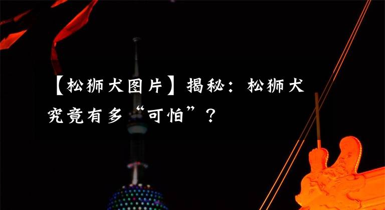 【松狮犬图片】揭秘：松狮犬究竟有多“可怕”？