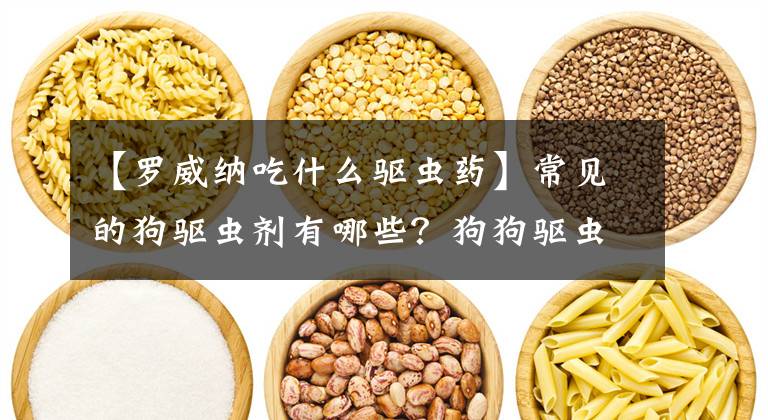 【罗威纳吃什么驱虫药】常见的狗驱虫剂有哪些？狗狗驱虫什么时候开始比较好？