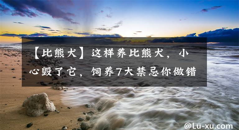 【比熊犬】这样养比熊犬，小心毁了它，饲养7大禁忌你做错几个文章配图