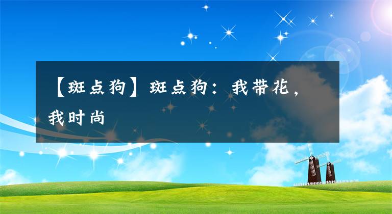 【斑点狗】斑点狗：我带花，我时尚