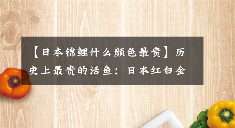 【日本锦鲤什么颜色最贵】历史上最贵的活鱼：日本红白金鲤鱼以2.3亿日元交易