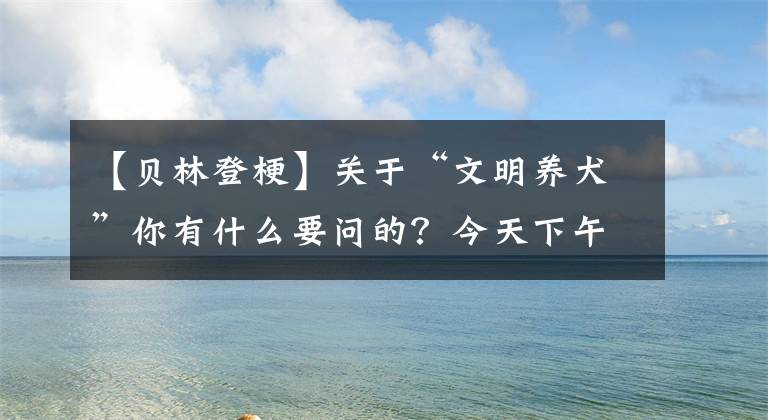 【贝林登梗】关于“文明养犬”你有什么要问的？今天下午2:00-4:00，快抱App在线解答！