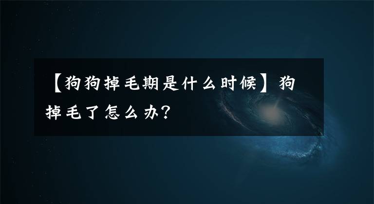 【狗狗掉毛期是什么时候】狗掉毛了怎么办？