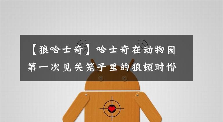 【狼哈士奇】哈士奇在动物园第一次见关笼子里的狼顿时懵逼：兄弟你犯啥事了？