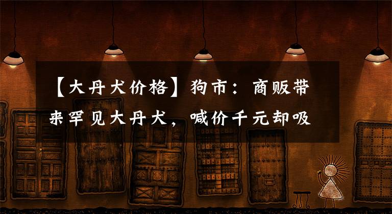 【大丹犬价格】狗市：商贩带来罕见大丹犬，喊价千元却吸引不到顾客购买！