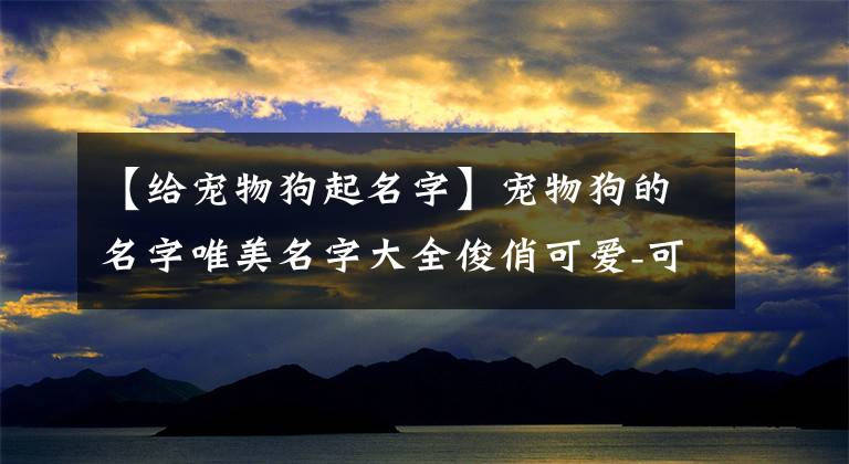 【给宠物狗起名字】宠物狗的名字唯美名字大全俊俏可爱-可爱点