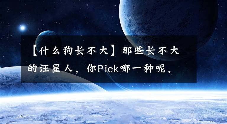 【什么狗长不大】那些长不大的汪星人，你Pick哪一种呢，小狗狗的看过来了