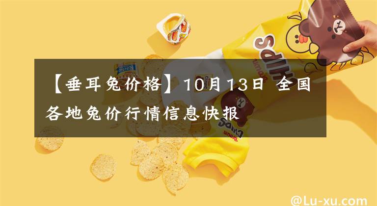 【垂耳兔价格】10月13日 全国各地兔价行情信息快报