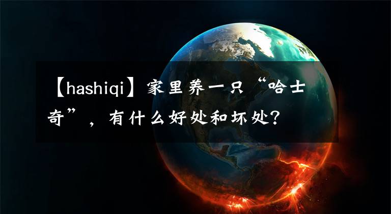 【hashiqi】家里养一只“哈士奇”，有什么好处和坏处？