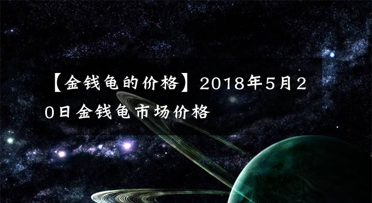 【金钱龟的价格】2018年5月20日金钱龟市场价格