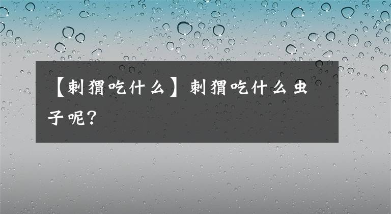 【刺猬吃什么】刺猬吃什么虫子呢？