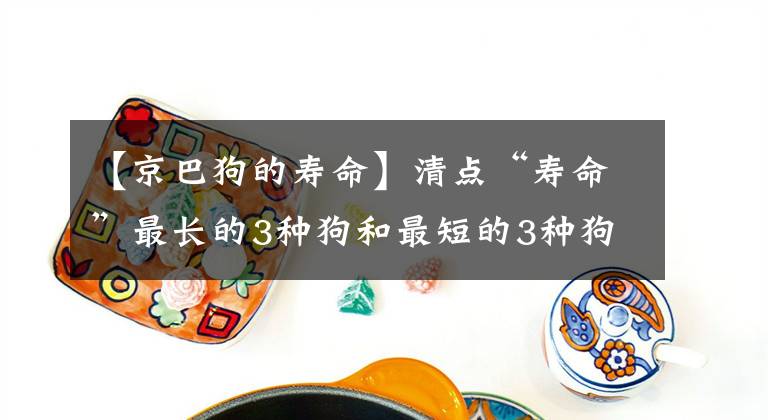 【京巴狗的寿命】清点“寿命”最长的3种狗和最短的3种狗，你家在其中吗？