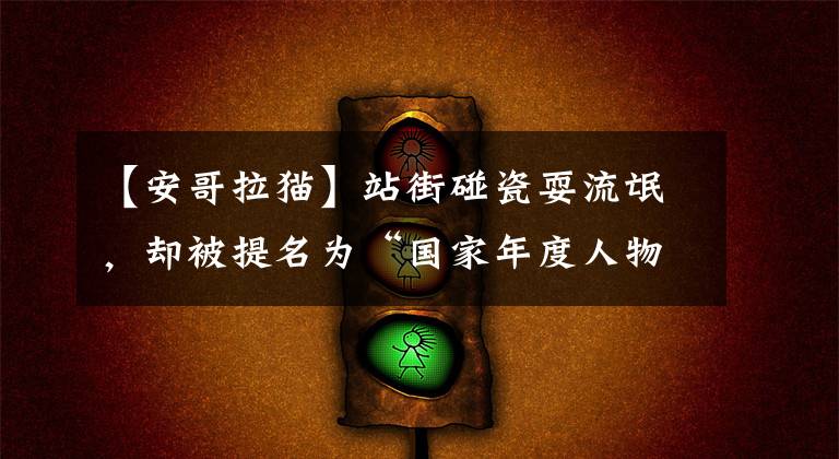 【安哥拉猫】站街碰瓷耍流氓，却被提名为“国家年度人物”，这只猫好厉害啊