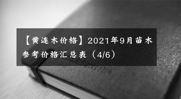 【黄连木价格】2021年9月苗木参考价格汇总表（4/6）