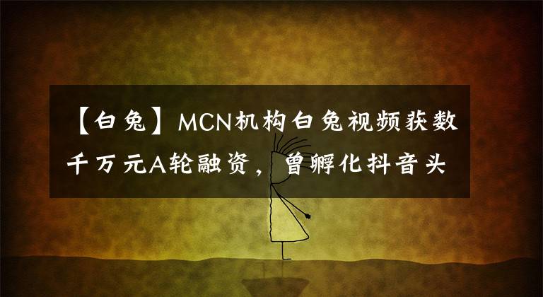 【白兔】MCN机构白兔视频获数千万元A轮融资，曾孵化抖音头部美妆IP骆王宇