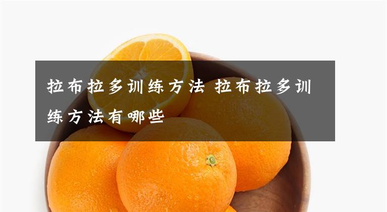 拉布拉多训练方法 拉布拉多训练方法有哪些文章配图