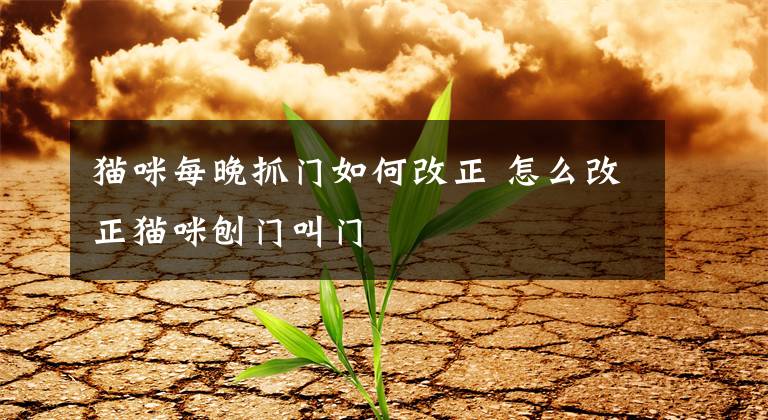 猫咪每晚抓门如何改正 怎么改正猫咪刨门叫门文章配图
