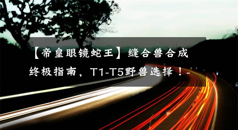 【帝皇眼镜蛇王】缝合兽合成终极指南，T1-T5野兽选择！-炉石传说