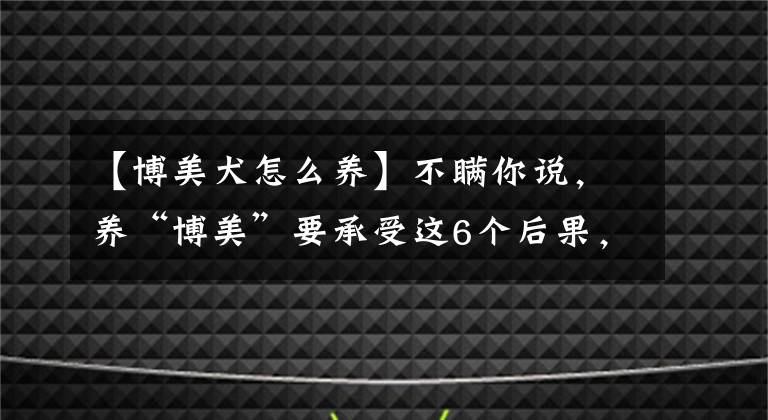 【博美犬怎么养】不瞒你说，养“博美”要承受这6个后果，很多人受不了