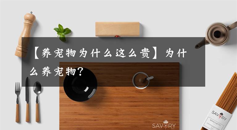 【养宠物为什么这么贵】为什么养宠物？