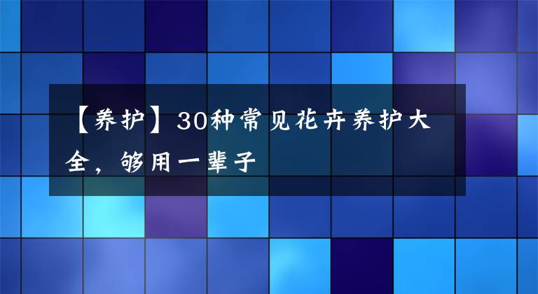 【养护】30种常见花卉养护大全，够用一辈子文章配图
