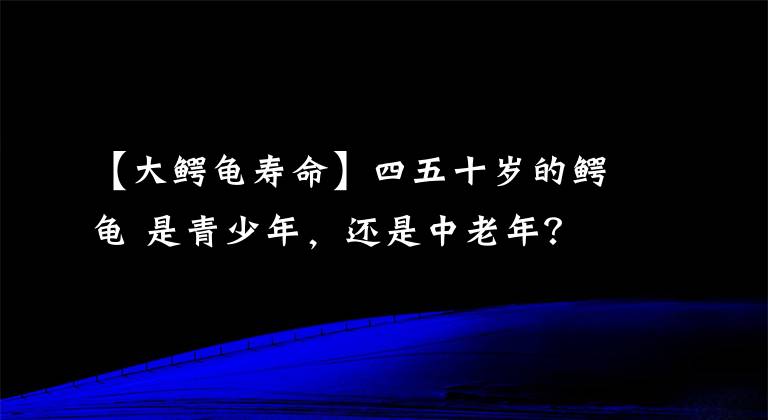 【大鳄龟寿命】四五十岁的鳄龟 是青少年，还是中老年？