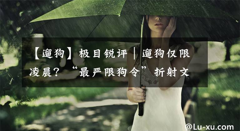 【遛狗】极目锐评｜遛狗仅限凌晨？“最严限狗令”折射文明养狗课题