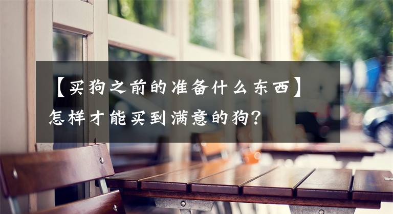 【买狗之前的准备什么东西】怎样才能买到满意的狗？