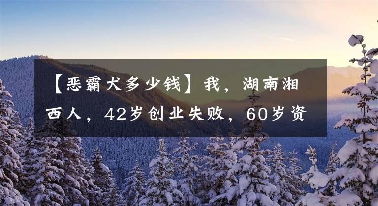 【恶霸犬多少钱】我，湖南湘西人，42岁创业失败，60岁资产近亿，陪73岁大姐再创业