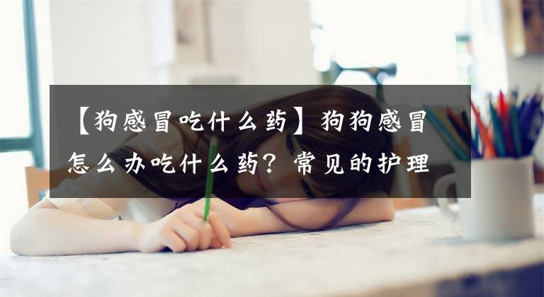 【狗感冒吃什么药】狗狗感冒怎么办吃什么药？常见的护理感冒的措施