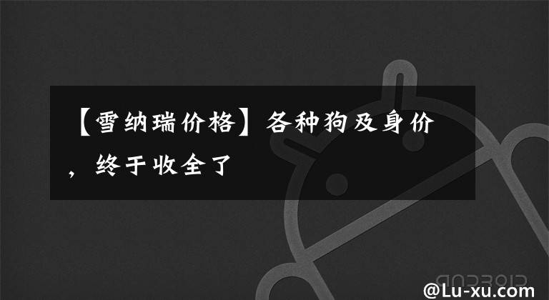 【雪纳瑞价格】各种狗及身价，终于收全了