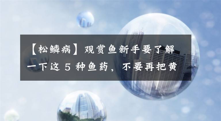 【松鳞病】观赏鱼新手要了解一下这 5 种鱼药，不要再把黄粉当做万能药了