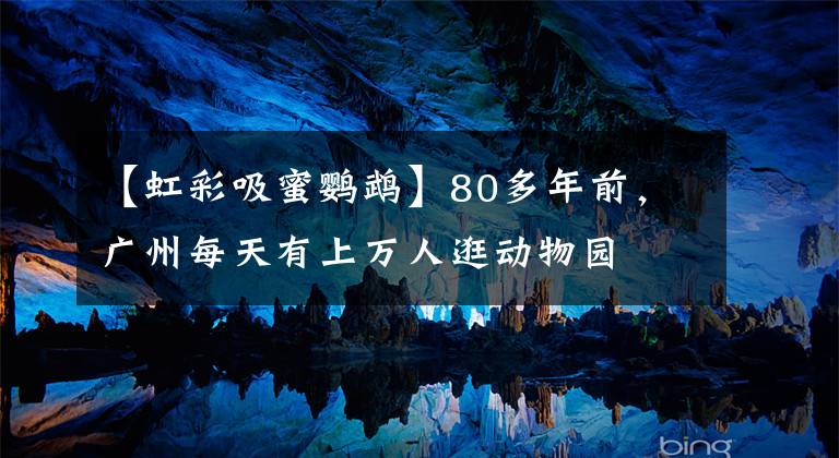 【虹彩吸蜜鹦鹉】80多年前，广州每天有上万人逛动物园