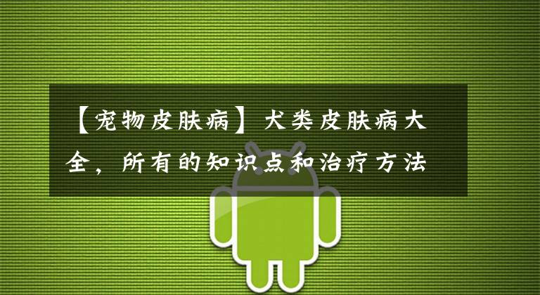 【宠物皮肤病】犬类皮肤病大全，所有的知识点和治疗方法都在这里，值得收藏