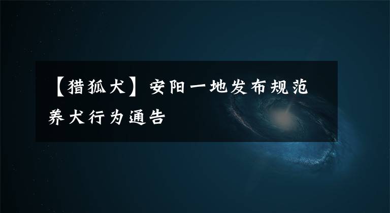 【猎狐犬】安阳一地发布规范养犬行为通告