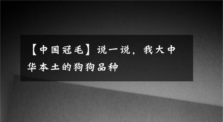 【中国冠毛】说一说，我大中华本土的狗狗品种