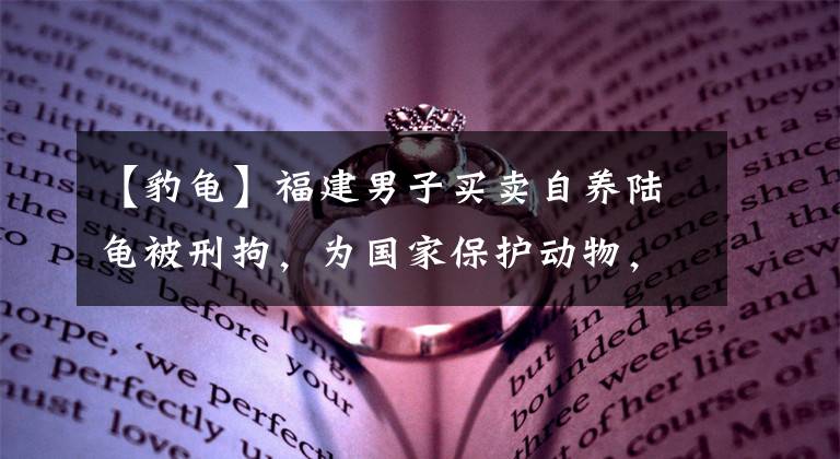 【豹龟】福建男子买卖自养陆龟被刑拘，为国家保护动物，误养会怎么样？