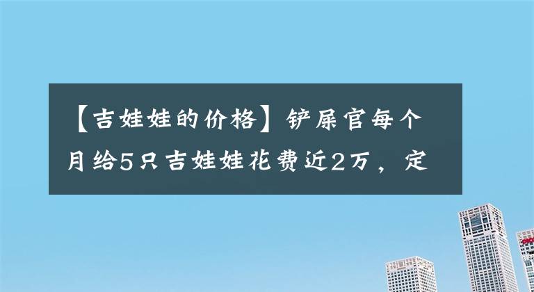 【吉娃娃的价格】铲屎官每个月给5只吉娃娃花费近2万，定制衣服，首饰，豪养！