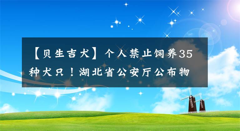 【贝生吉犬】个人禁止饲养35种犬只！湖北省公安厅公布物业区域个人禁养犬只标准征求意见稿