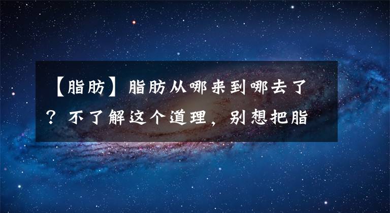 【脂肪】脂肪从哪来到哪去了？不了解这个道理，别想把脂肪“送走”