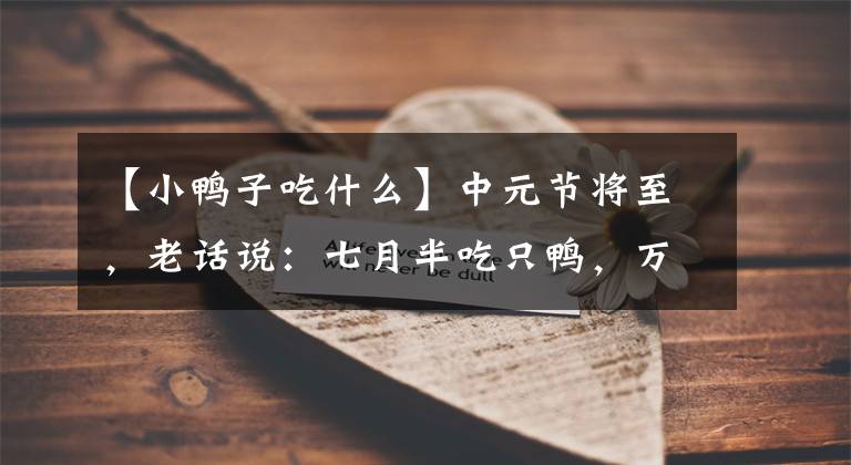 【小鸭子吃什么】中元节将至，老话说：七月半吃只鸭，万事不用怕，老传统真讲究