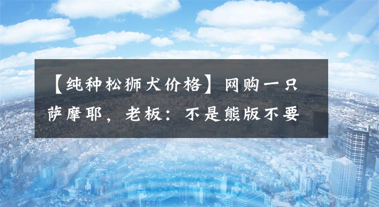 【纯种松狮犬价格】网购一只萨摩耶，老板：不是熊版不要钱，回来长这样网友都愣了！