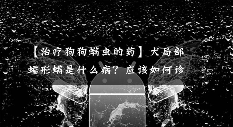 【治疗狗狗螨虫的药】犬局部蠕形螨是什么病？应该如何诊断治疗？可以预防吗？