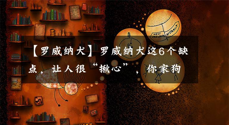 【罗威纳犬】罗威纳犬这6个缺点，让人很“揪心”，你家狗狗占几个？